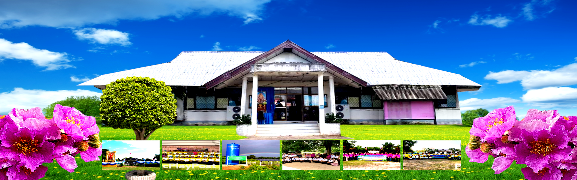 พื้นหลัง